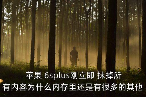  蘋果 6splus剛立即 抹掉所有內(nèi)容為什么內(nèi)存里還是有很多的其他
