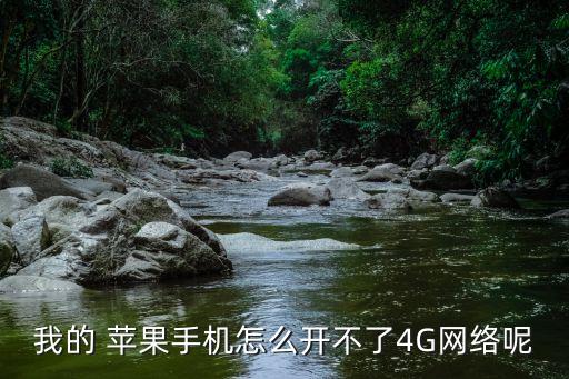 我的 蘋果手機(jī)怎么開不了4G網(wǎng)絡(luò)呢