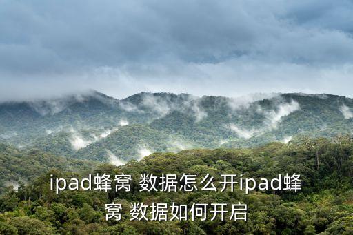 ipad蜂窩 數(shù)據(jù)怎么開ipad蜂窩 數(shù)據(jù)如何開啟