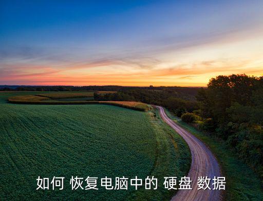 如何 恢復(fù)電腦中的 硬盤 數(shù)據(jù)