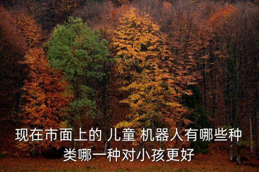 現(xiàn)在市面上的 兒童 機器人有哪些種類哪一種對小孩更好