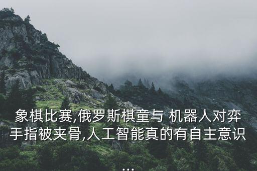 機(jī)器人 傷人
