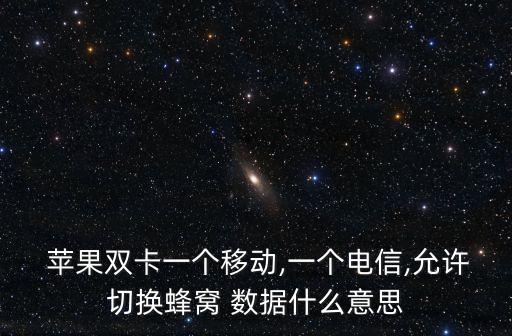  蘋果雙卡一個移動,一個電信,允許切換蜂窩 數(shù)據(jù)什么意思