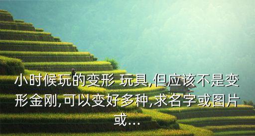 小時(shí)候玩的變形 玩具,但應(yīng)該不是變形金剛,可以變好多種,求名字或圖片或...