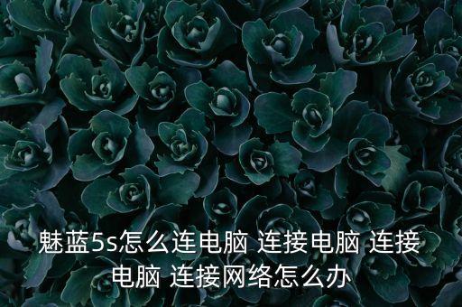 魅藍5s怎么連電腦 連接電腦 連接電腦 連接網絡怎么辦
