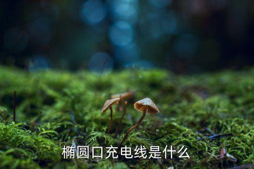 usb數(shù)據(jù)線圓形接口,蘋果14數(shù)據(jù)線沒有usb接口怎么充電