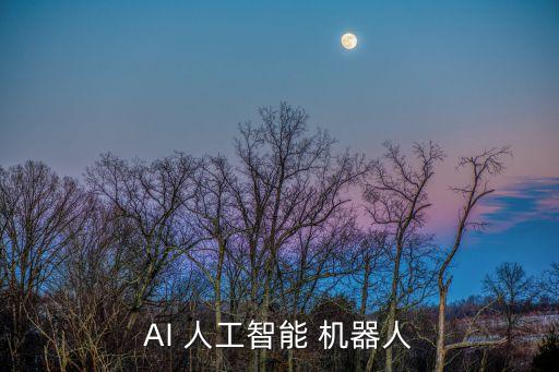 什么是人工機器人,人工精神系統(tǒng)機器人第一個叫什么