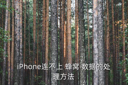 我的ip4s是7.1.1怎么把蜂窩數(shù)據(jù)開(kāi)了怎么還上不成網(wǎng)