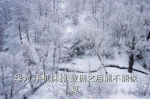  華為 手機(jī)抹掉 數(shù)據(jù)之后能不能恢復(fù)