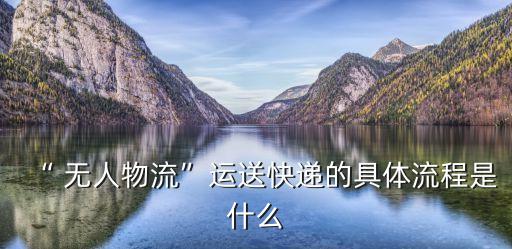 無(wú)人倉(cāng)機(jī)器人,中國(guó)無(wú)人作戰(zhàn)機(jī)器人