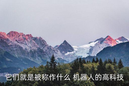 它們就是被稱(chēng)作什么 機(jī)器人的高科技