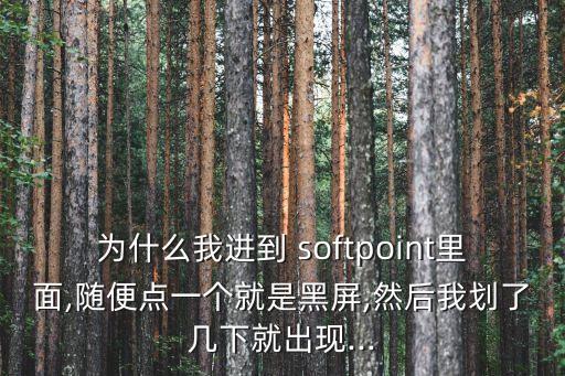 為什么我進到 softpoint里面,隨便點一個就是黑屏,然后我劃了幾下就出現(xiàn)...