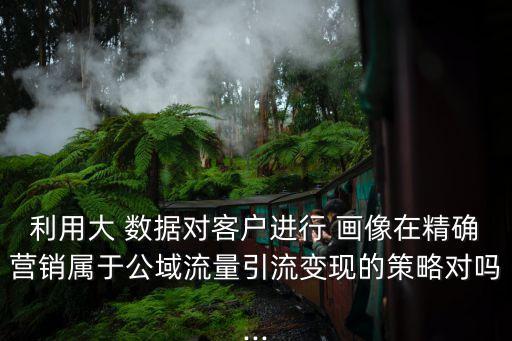 利用大 數(shù)據(jù)對(duì)客戶進(jìn)行 畫(huà)像在精確營(yíng)銷屬于公域流量引流變現(xiàn)的策略對(duì)嗎...