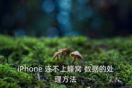 iPhone 連不上蜂窩 數(shù)據(jù)的處理方法