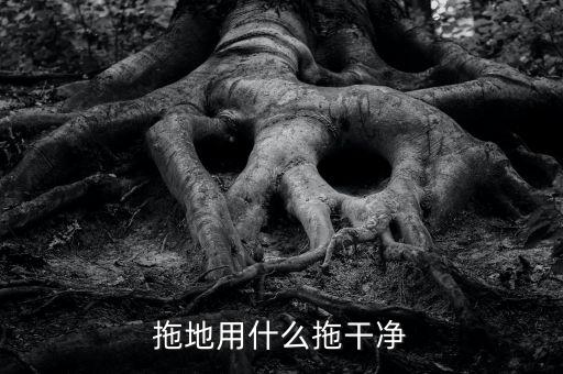 拖地用什么拖干凈