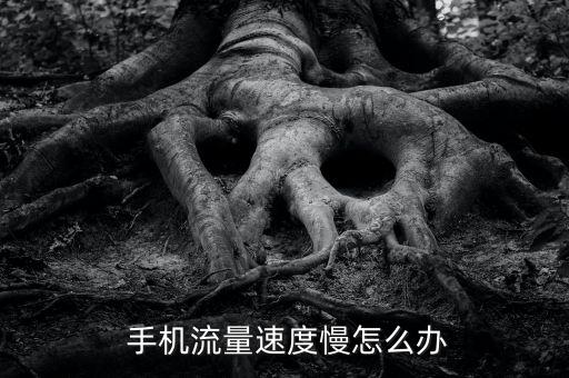  手機(jī)流量速度慢怎么辦
