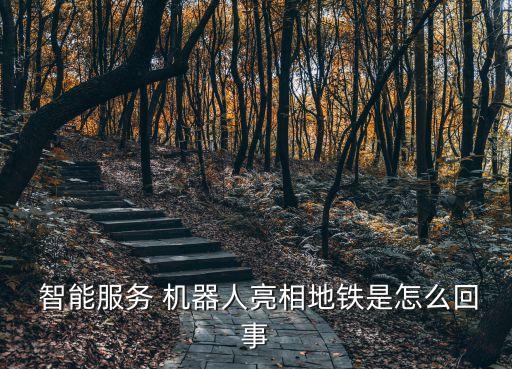  智能服務 機器人亮相地鐵是怎么回事