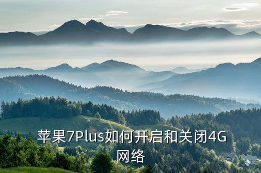  蘋果7Plus如何開啟和關(guān)閉4G網(wǎng)絡(luò)