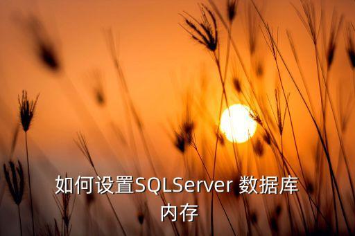如何設(shè)置SQLServer 數(shù)據(jù)庫 內(nèi)存