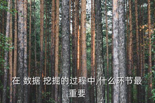 在 數(shù)據(jù) 挖掘的過程中,什么環(huán)節(jié)最重要