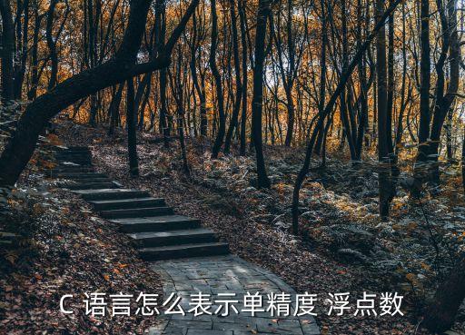 c語言浮點(diǎn)型數(shù)據(jù)