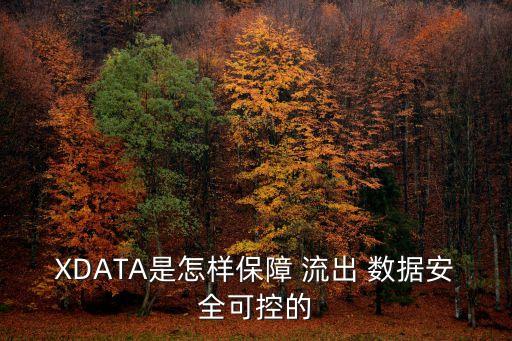 XDATA是怎樣保障 流出 數(shù)據(jù)安全可控的