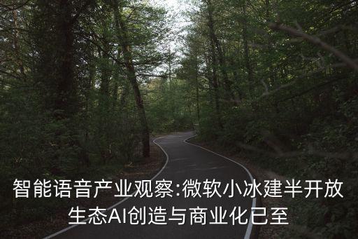 智能語音產(chǎn)業(yè)觀察:微軟小冰建半開放生態(tài)AI創(chuàng)造與商業(yè)化已至
