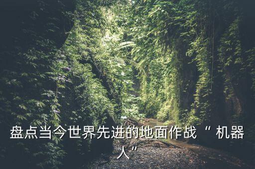 盤點當今世界先進的地面作戰(zhàn)“ 機器人”