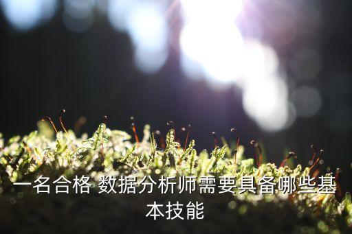 一名合格 數(shù)據(jù)分析師需要具備哪些基本技能
