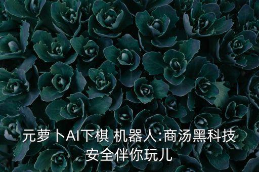元蘿卜AI下棋 機(jī)器人:商湯黑科技安全伴你玩兒