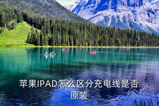  蘋果IPAD怎么區(qū)分充電線是否 原裝