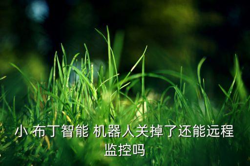 小 布丁智能 機(jī)器人關(guān)掉了還能遠(yuǎn)程監(jiān)控嗎