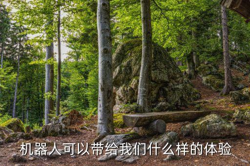  機器人可以帶給我們什么樣的體驗