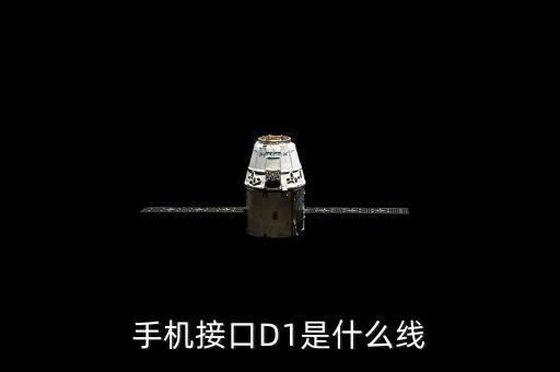 手機(jī)接口D1是什么線