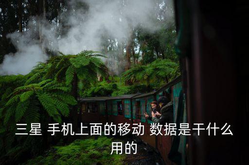 三星 手機上面的移動 數(shù)據(jù)是干什么用的
