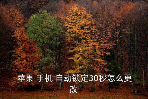 蘋果手機自動鎖屏?xí)r間不準(zhǔn)確
