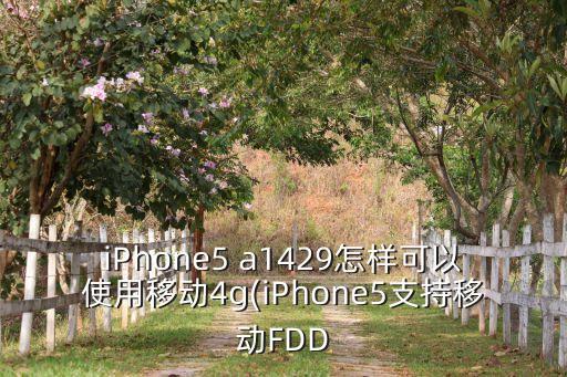 iPhone5 a1429怎樣可以使用移動4g(iPhone5支持移動FDD