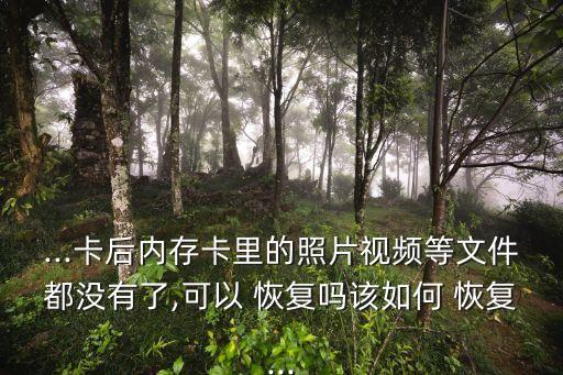 小米怎么恢復(fù)sd卡數(shù)據(jù)恢復(fù)