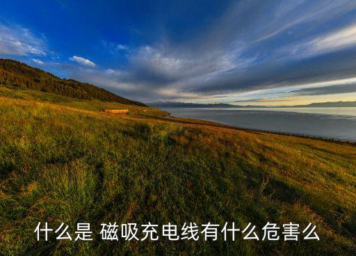 什么是 磁吸充電線有什么危害么