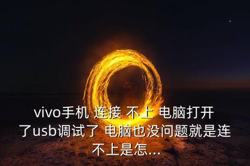 vivo手機 連接 不上 電腦打開了usb調(diào)試了 電腦也沒問題就是連 不上是怎...