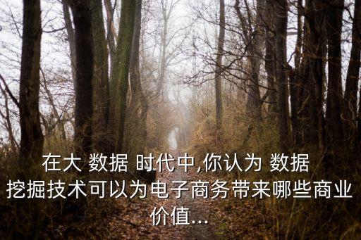 大數(shù)據(jù)時(shí)代的空間數(shù)據(jù)挖掘綜述,為什么說數(shù)據(jù)挖掘是大數(shù)據(jù)時(shí)代