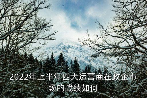 2022年上半年四大運(yùn)營(yíng)商在政企市場(chǎng)的戰(zhàn)績(jī)?nèi)绾? class=