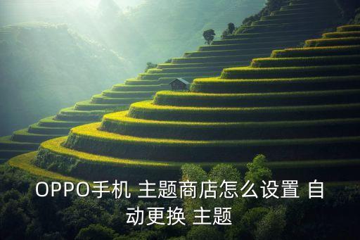 OPPO手機(jī) 主題商店怎么設(shè)置 自動更換 主題