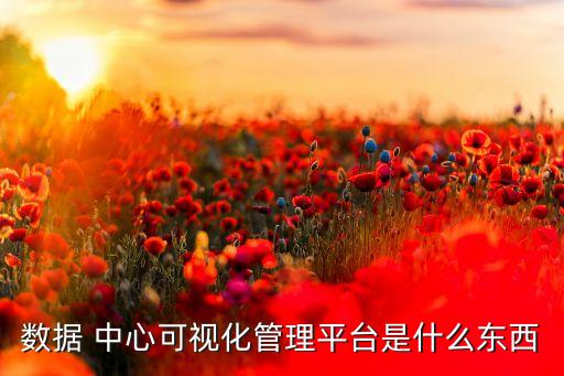數(shù)據(jù) 中心可視化管理平臺是什么東西