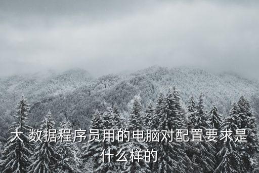 大 數(shù)據(jù)程序員用的電腦對配置要求是什么樣的