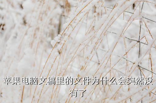 蘋果電腦文稿里的文件為什么會(huì)突然沒有了