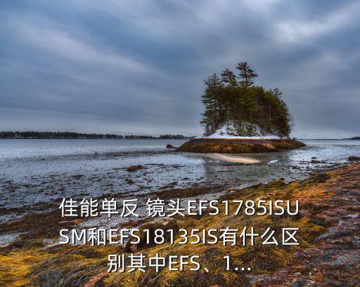 佳能單反 鏡頭EFS1785ISUSM和EFS18135IS有什么區(qū)別其中EFS、1...