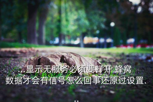 ios9.3蜂窩數(shù)據(jù)改動了