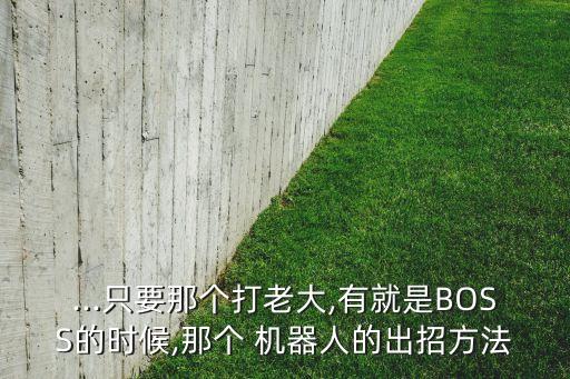 沖向巔峰 機(jī)器人,大連創(chuàng)之巔峰機(jī)器人