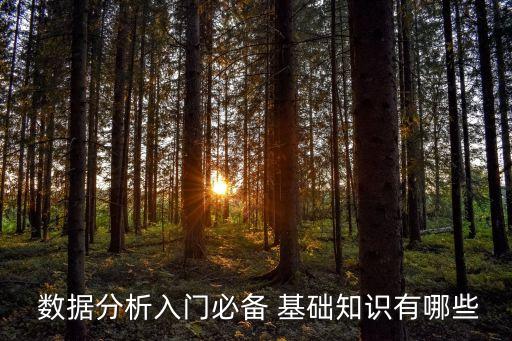 數(shù)據(jù)分析需要什么基礎(chǔ),想學(xué)數(shù)據(jù)分析去哪里學(xué)